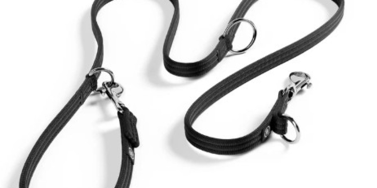 Eco-Conscious Care: Sustainable Materials in Smart Pet Gear