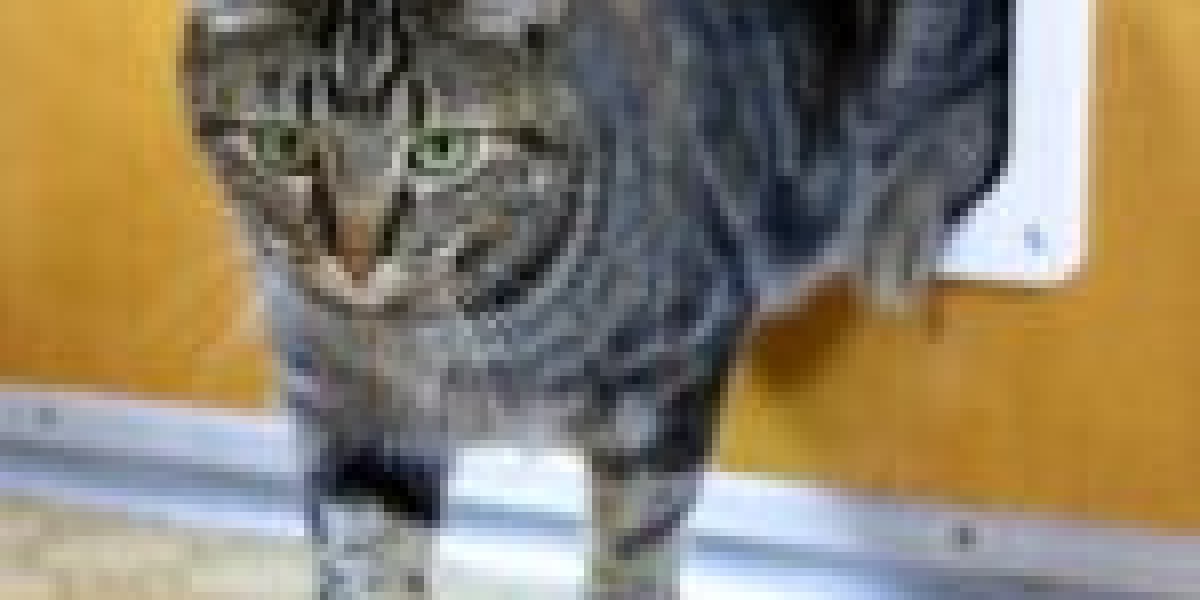 Buzzwords De-Buzzed: 10 More Methods To Deliver Cat Flap Installer