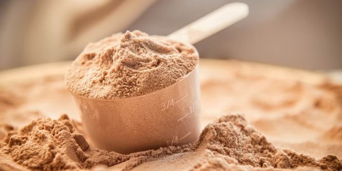 Top Rated Whey Protein of 2025 | Best Picks for Muscle Gain & Recovery