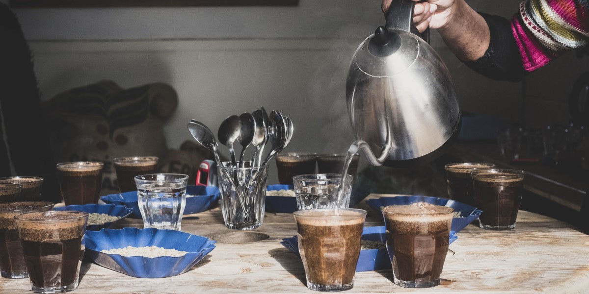 A Complete Guide to the Dolce Gusto Nescafe Machine