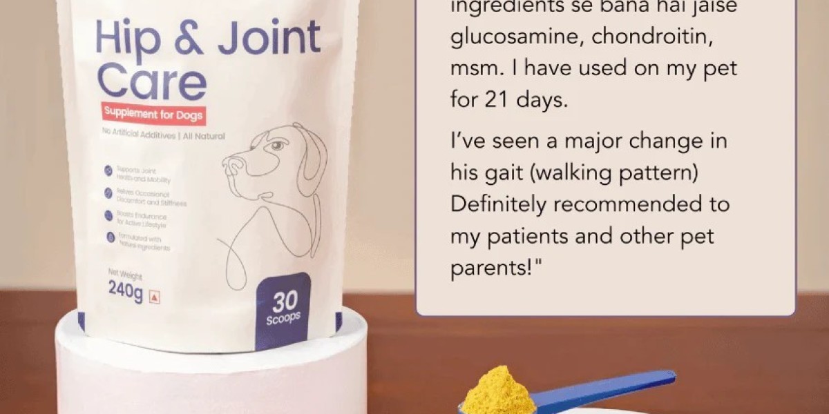 How to Choose the Best Dog Supplements for Strong Bones and Joint Health