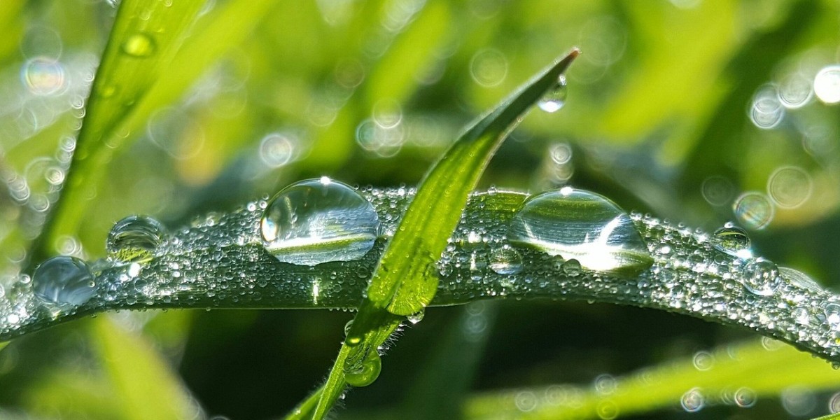 Dew Point Calculator | Understanding and Using This Essential Tool for Weather Industrial Applications