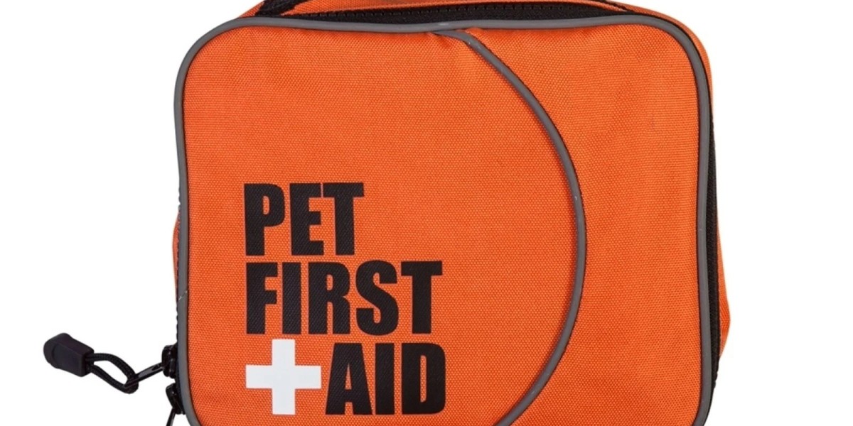 Balanced Designs From A Pet First Aid Kit Supplier Supporting Calm Routines