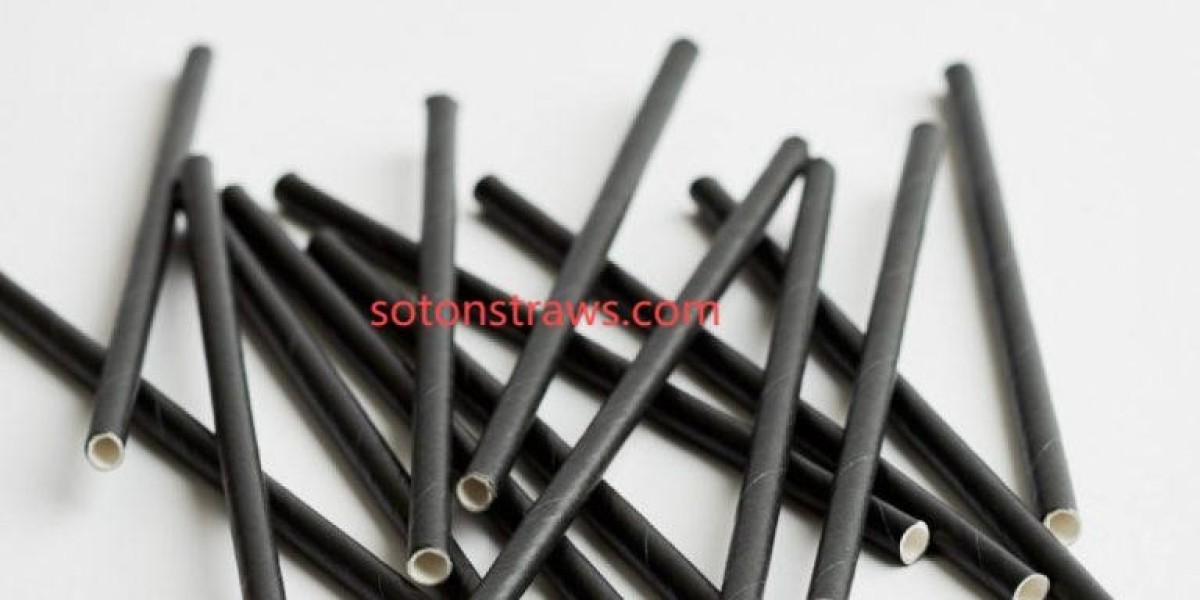 Soton: Innovative Eco-friendly Straws Factory Leader