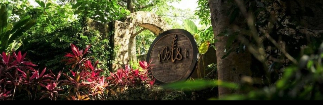 Roots Tree House Cover Image