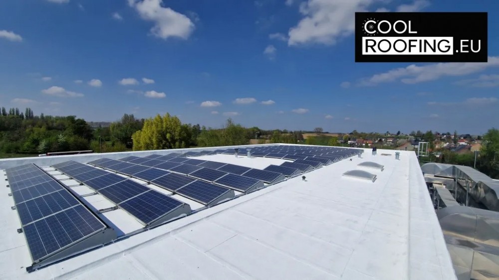 Reflecterende Dak Verf: Een Praktische Gids Voor Gebouwen In Nederland - Rutherford Voice