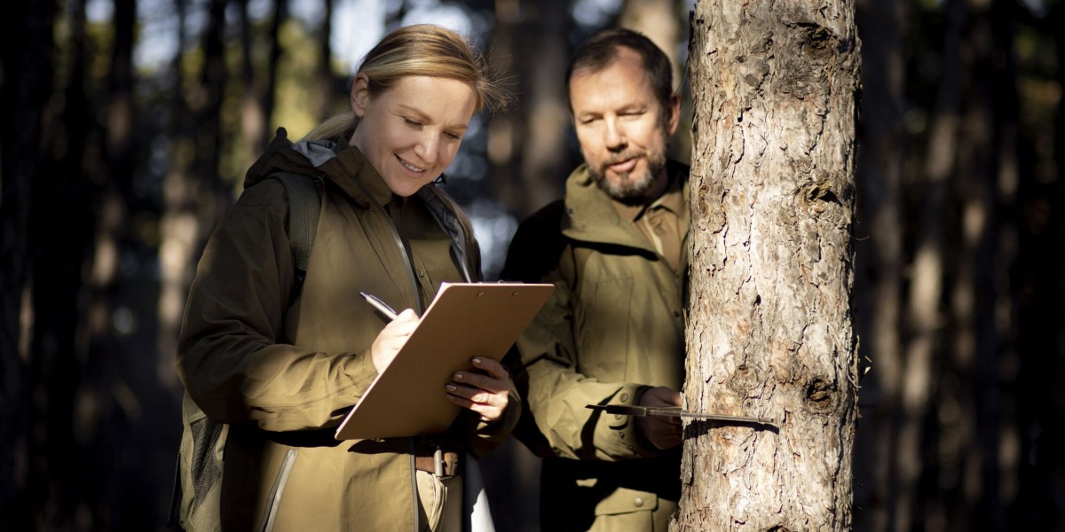 VT County Foresters in Sustainable Forest Management