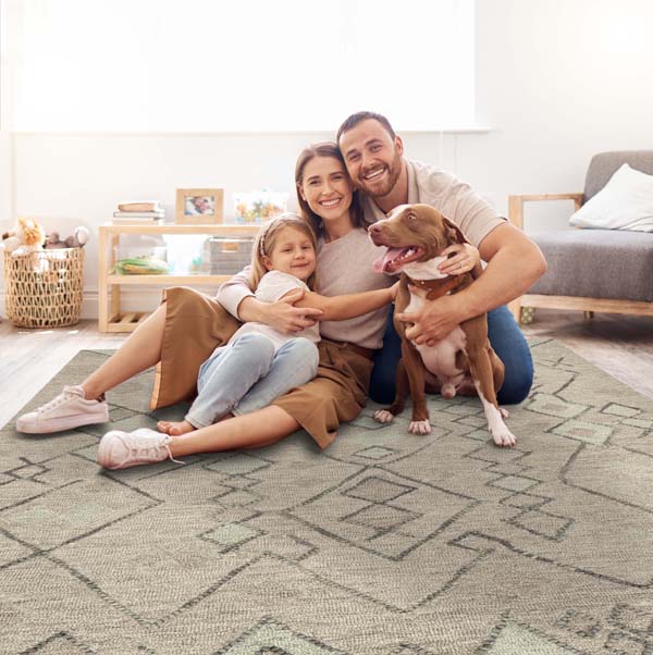 Persian Rugs for Sale | Blue, Green & Pink Persian Area Rugs USA