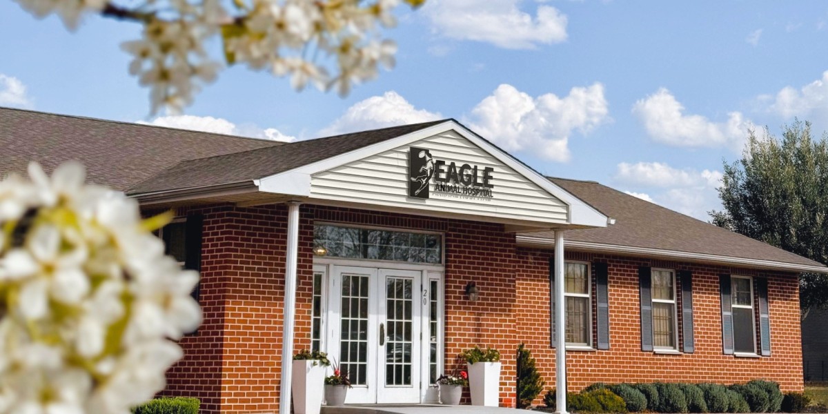 Choose Animal Hospital Chester County for Pet Care