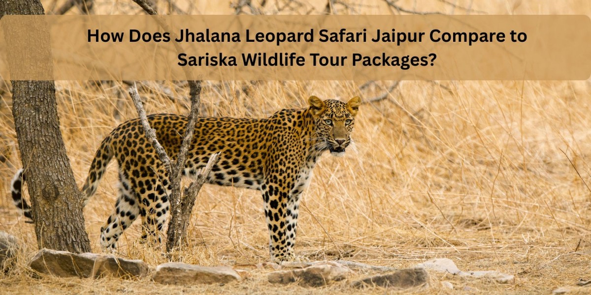 How Does Jhalana Leopard Safari Jaipur Compare to Sariska Wildlife Tour Packages?