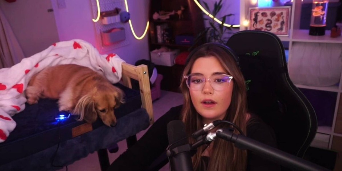 Marvel Rivals: Dog Co-Pilot Goes Viral—Esports Win