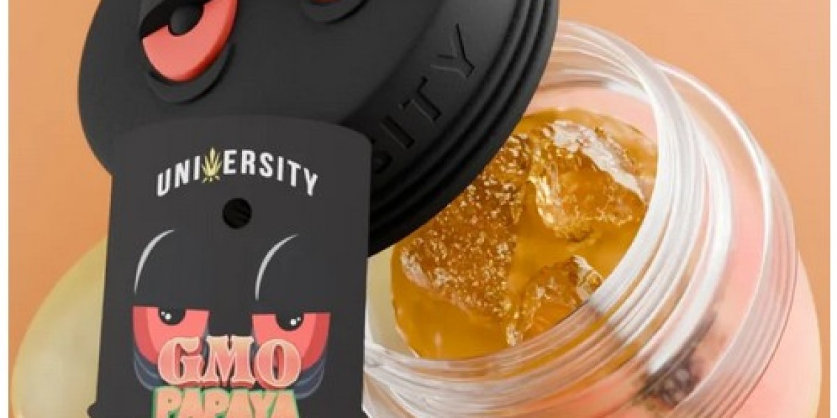 Magic Mushroom Chocolate or Mushroom Gummies? A Buyer’s Guide Before You Pick One