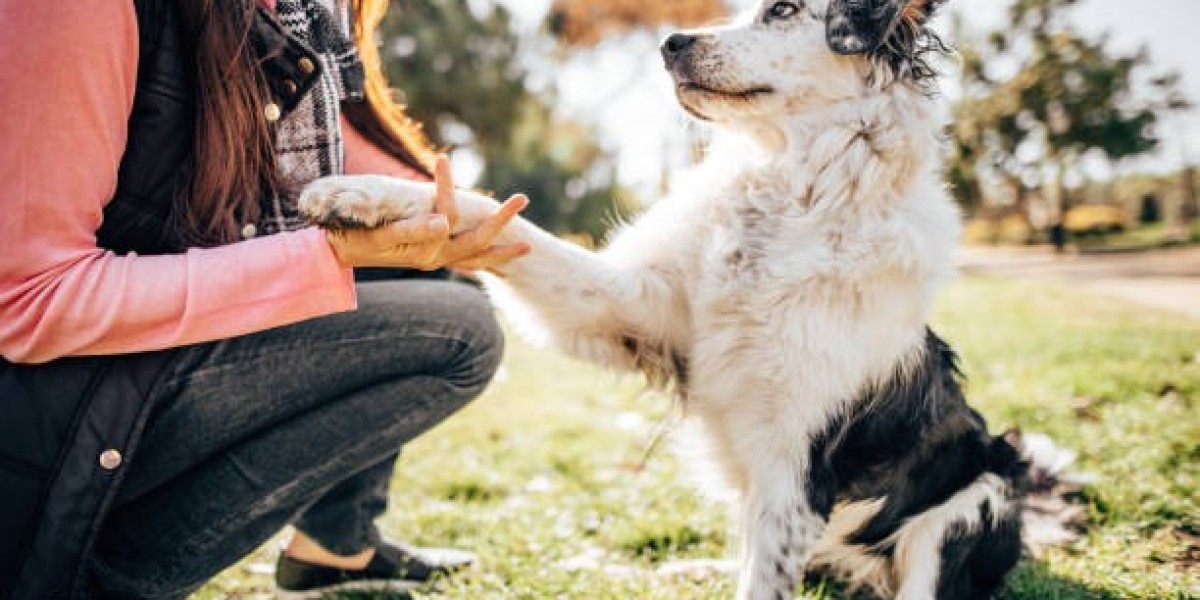 The Danger of Humanizing Your Dog's Natural Expressions