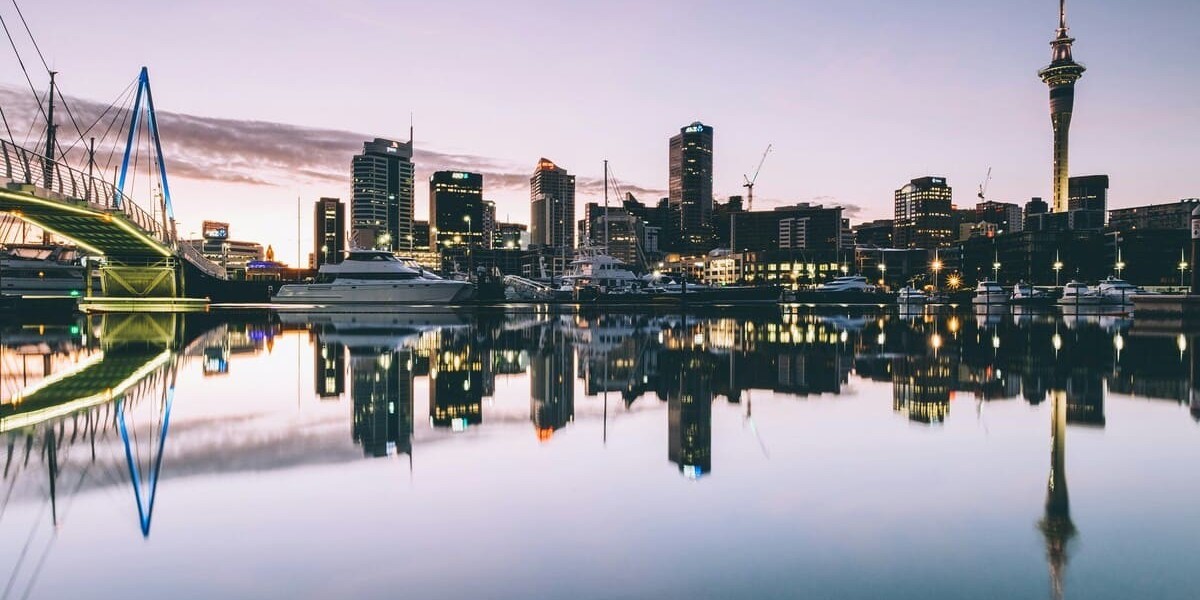 Auckland Movers: Your Complete Guide to Stress-Free Relocation in Auckland