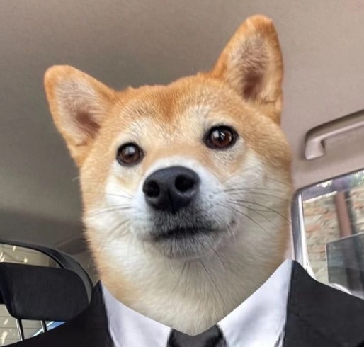 Jianma Jianma Profile Picture