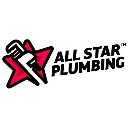 All Star Plumbing Profile Picture