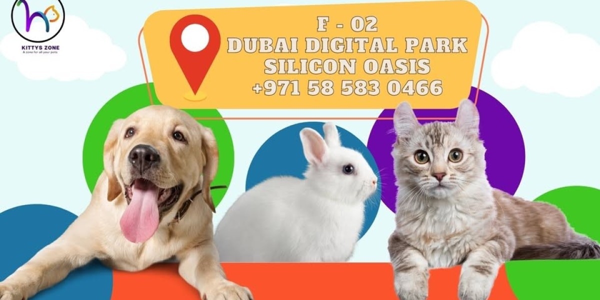 Best Cat Boarding Dubai: Why Mobile Pet Grooming in Dubai Makes Pet Care More Convenient