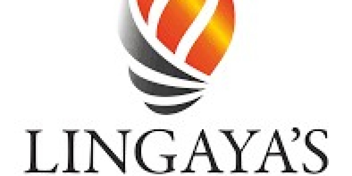 Why Lingaya's Vidyapeeth is the Best BBA College in Delhi NCR