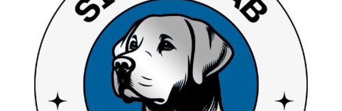 Silver Lab Roofing Cover Image