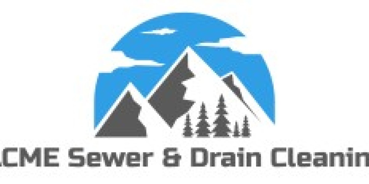 Common Signs Your Main Sewer Line Needs Professional Attention