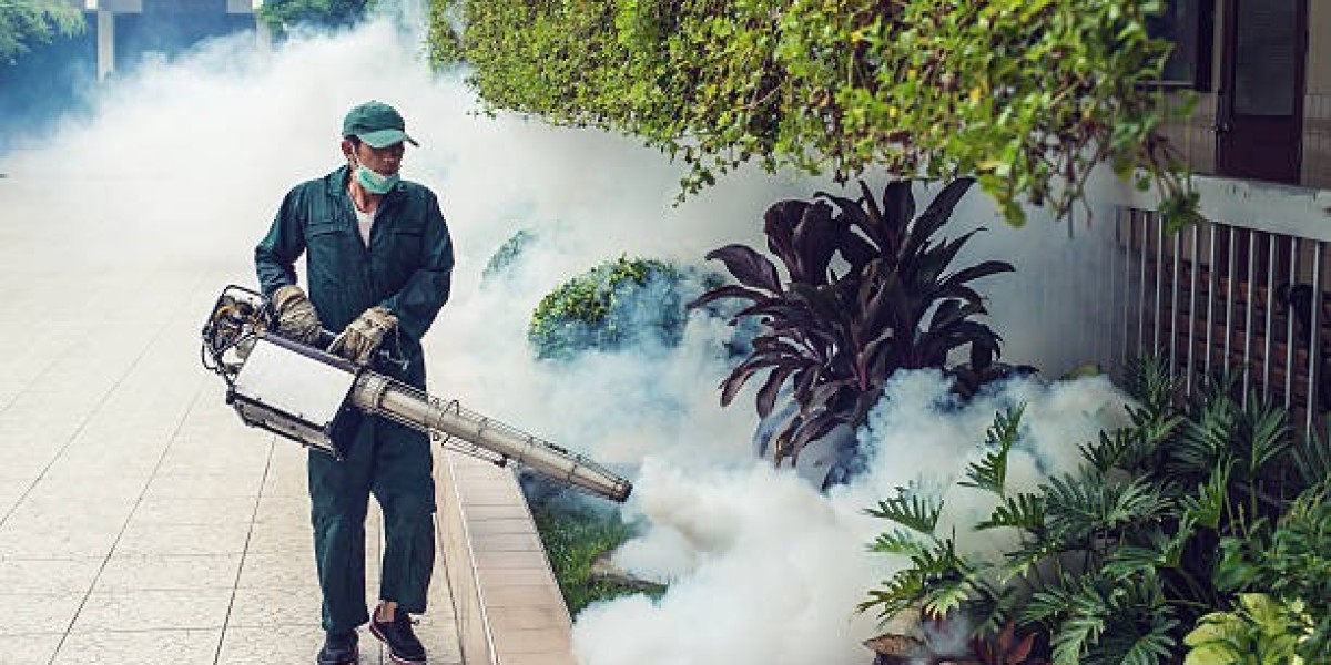 Pest Control Services in Lahore & Islamabad: Your Complete Guide to a Safe, Healthy & Pest-Free Home