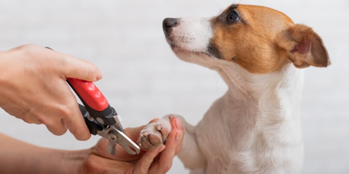 How to Safely Trim Your Dog's Nails at Home: A Step-by-Step Guide