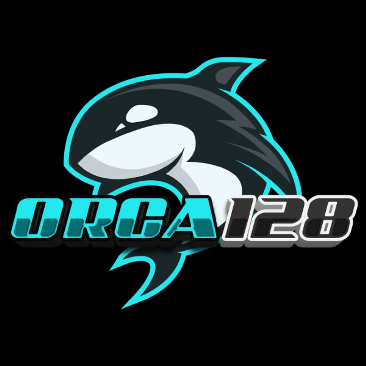 orca128 orca128 Profile Picture