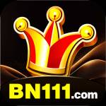 bn111 bn111 Profile Picture