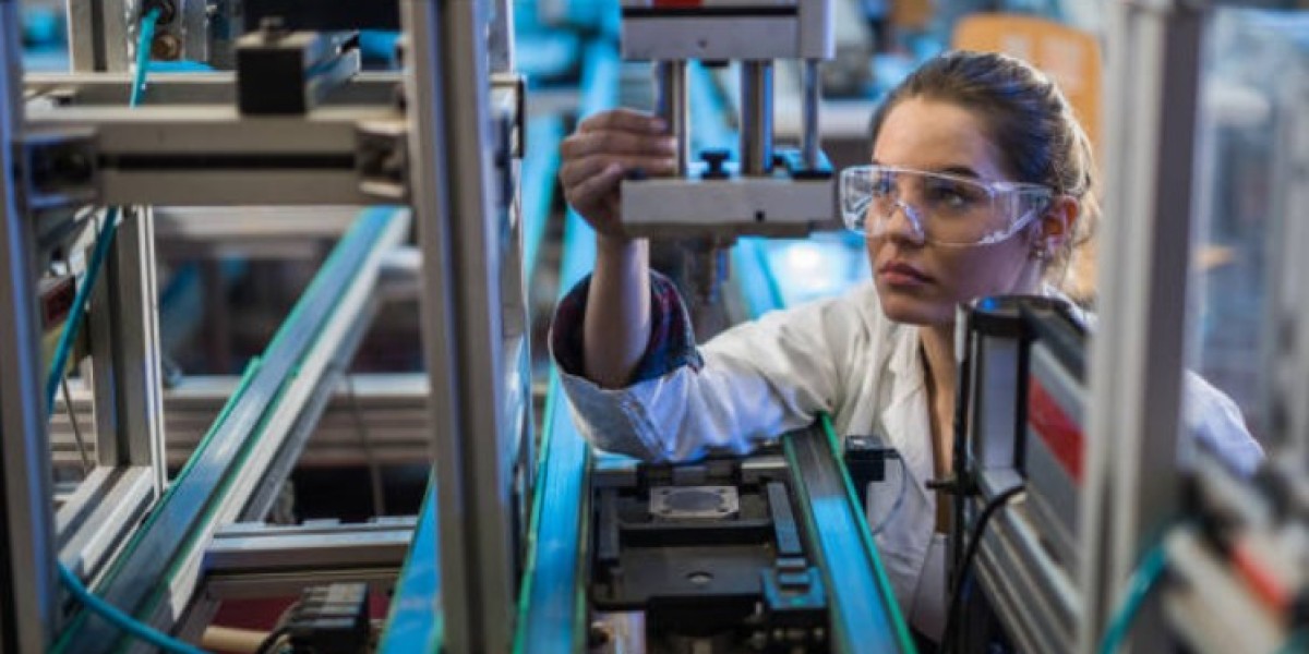 STEM OPT Programs for International Students Unlocking Long Term Success