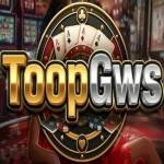 toopgws toopgws profile picture