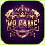 v9game v9game Profile Picture