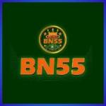 bn55 bn55 Profile Picture