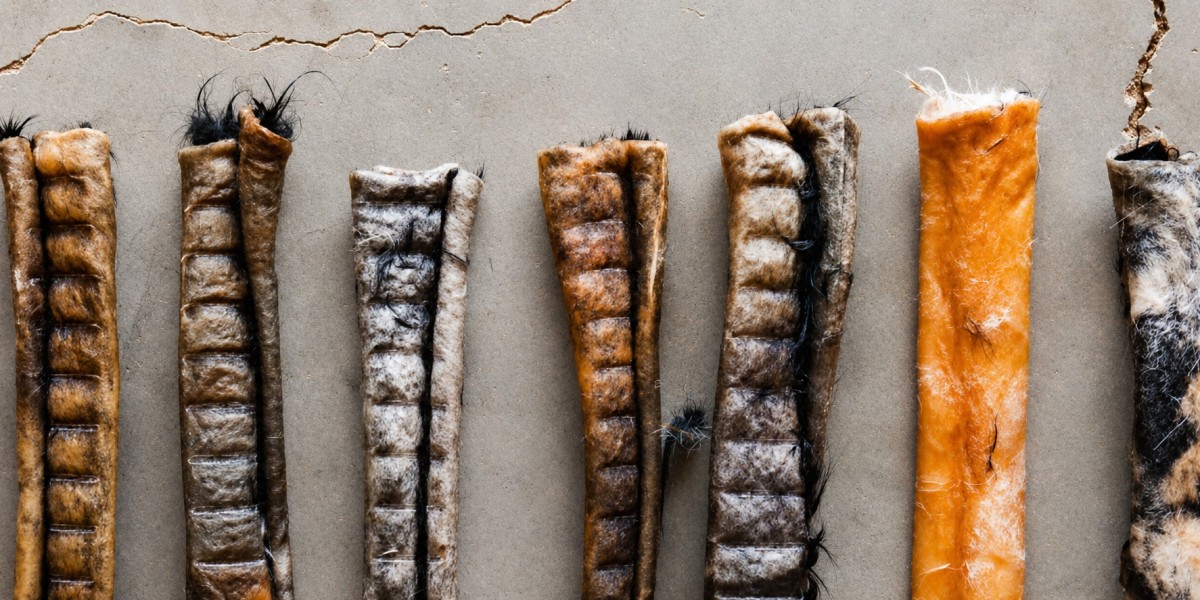 Chew Dog Treats: Choosing the Right Options for Your Dog